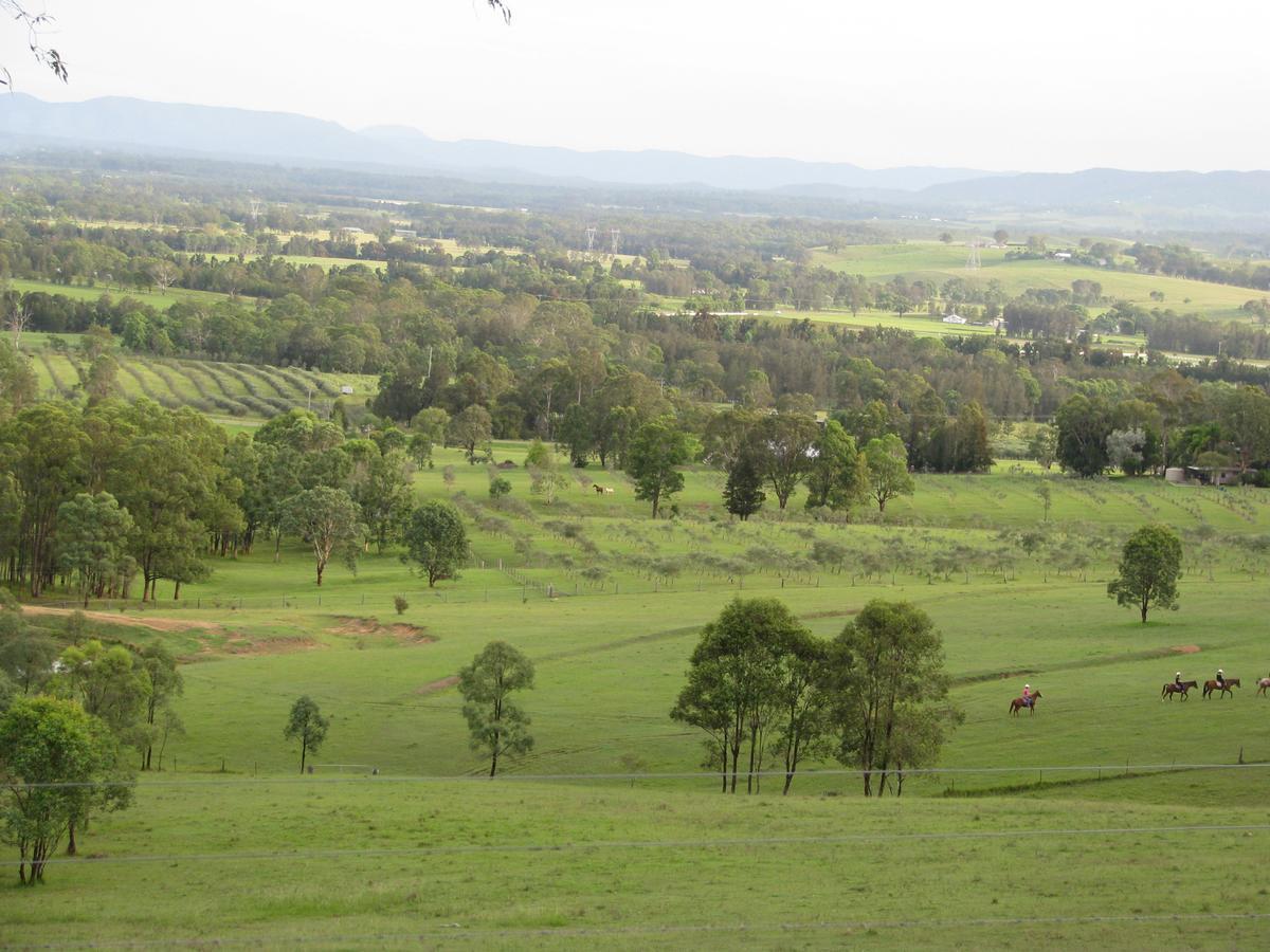 Hill Top Country Guest House Lovedale Extérieur photo