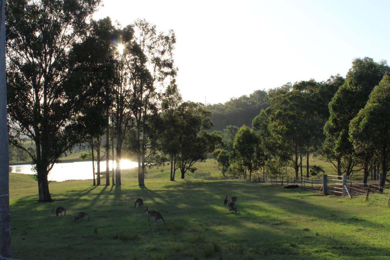 Hill Top Country Guest House Lovedale Extérieur photo