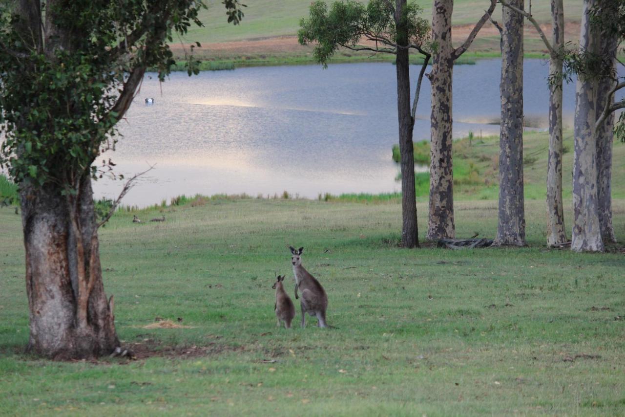Hill Top Country Guest House Lovedale Extérieur photo